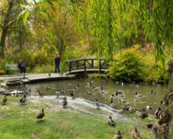 It is an ideal picnic spot with broad lawns, rock gardens, several flower beds. You can also three large and four small ponds in the park. The pond is